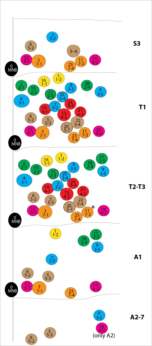 Figure 1—figure supplement 1.