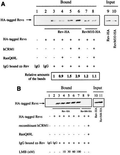 FIG. 5.