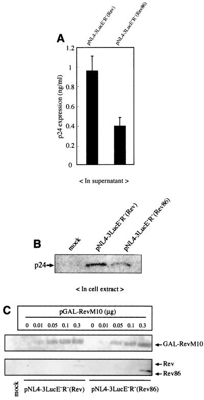 FIG. 8.