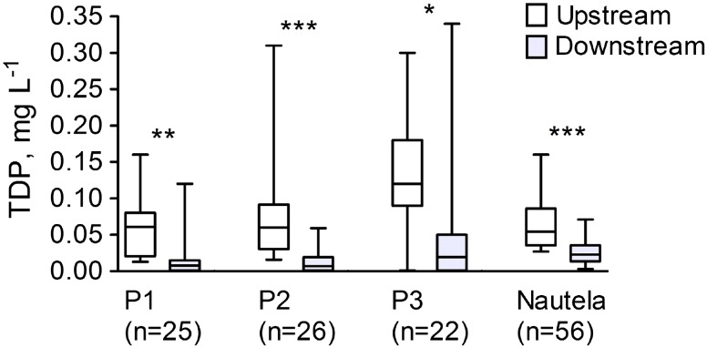 Fig. 6