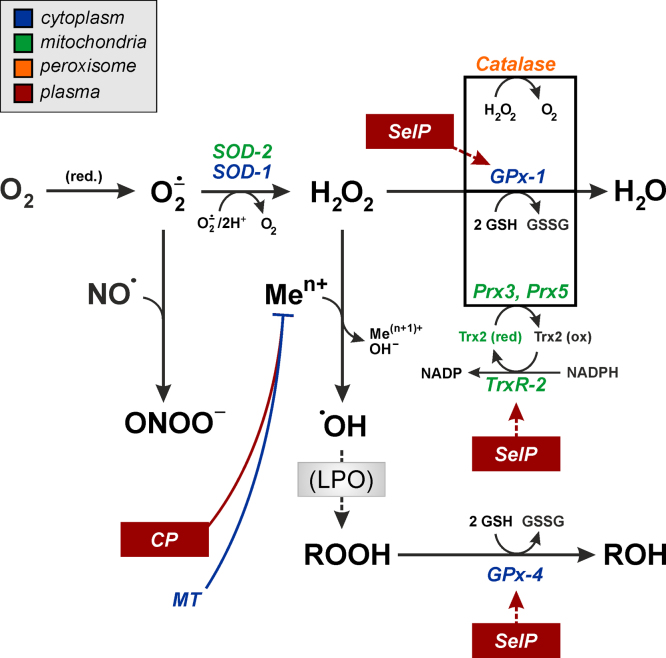 Fig. 3