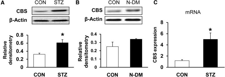 Figure 5.