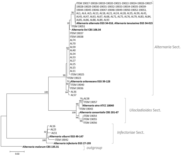 Fig. 4