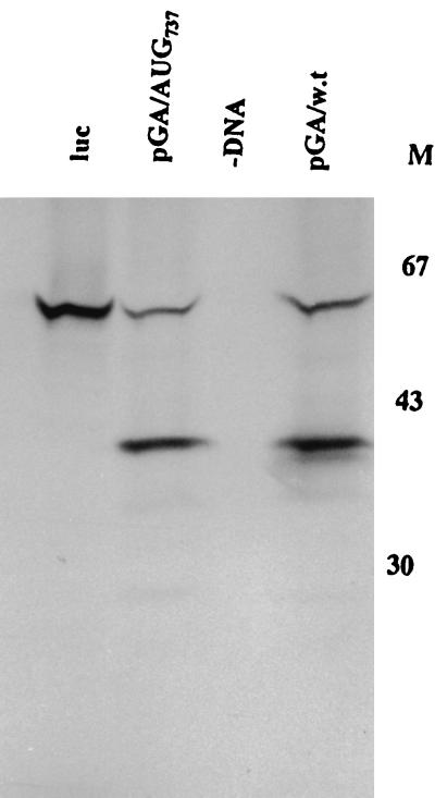 FIG. 4