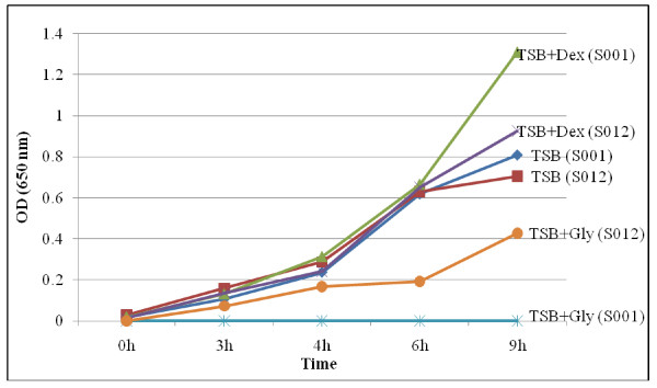 Figure 4