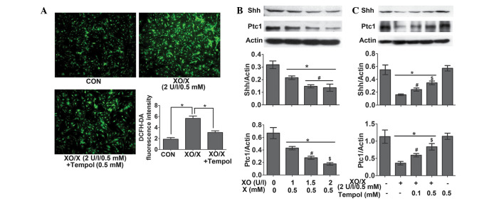 Figure 6.