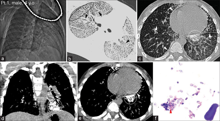 Figure 1: