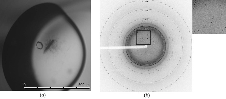 Figure 6