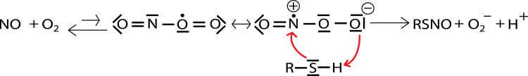 Scheme 3