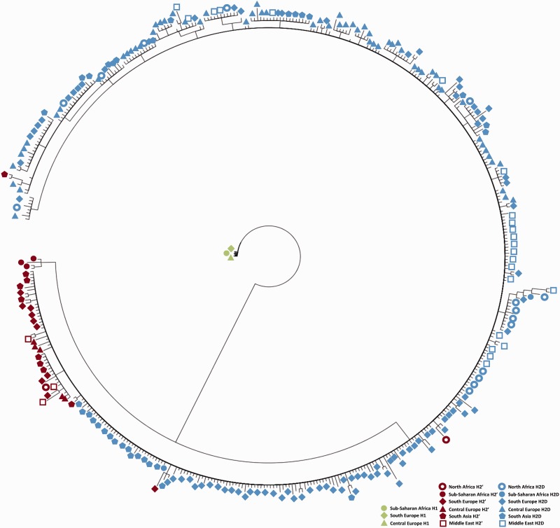 Fig. 3.