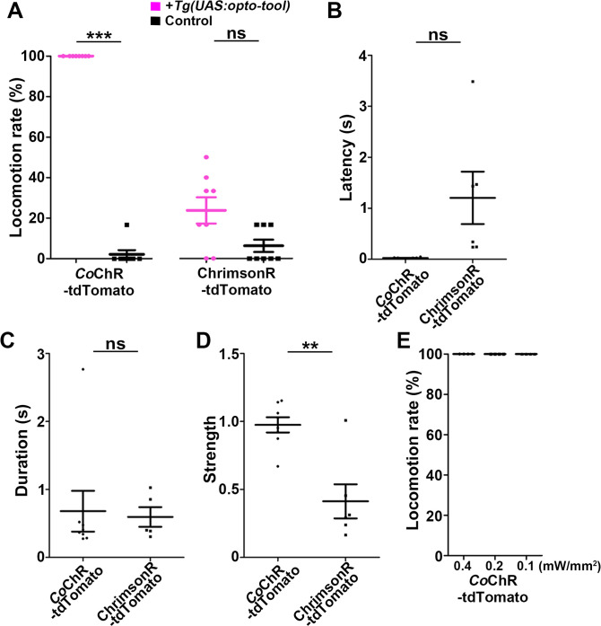 Figure 3—figure supplement 3.