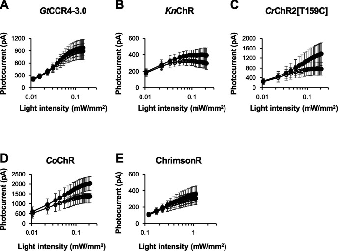 Figure 1—figure supplement 1.