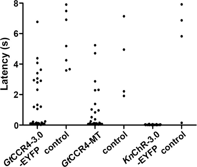 Figure 3—figure supplement 1.