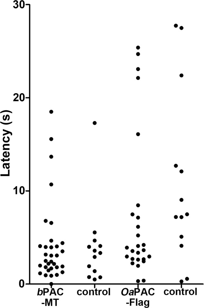 Figure 7—figure supplement 1.