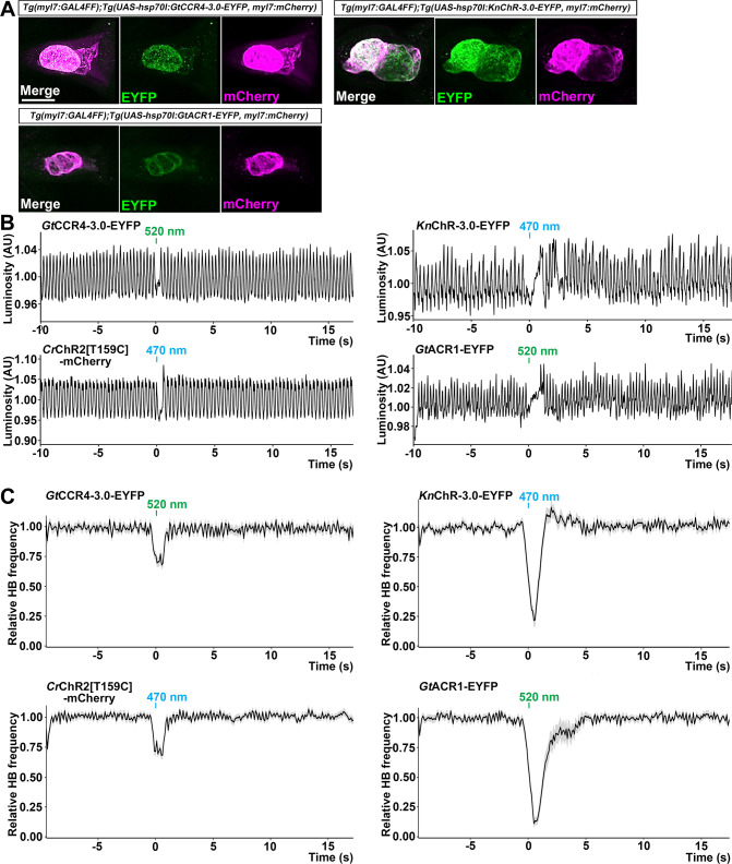 Figure 4.