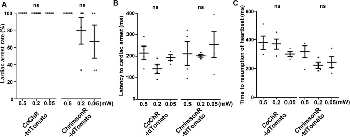 Figure 5—figure supplement 2.