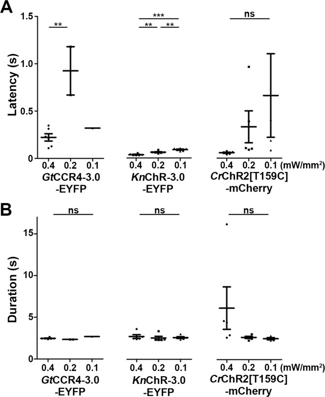 Figure 3—figure supplement 2.