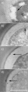 FIG. 5.