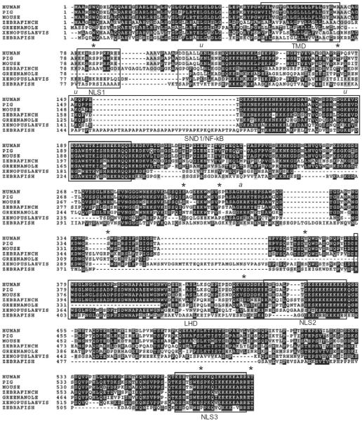 Figure 1.1