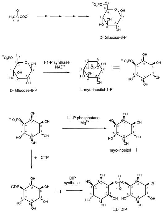 FIG. 6