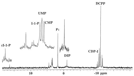 FIG. 4