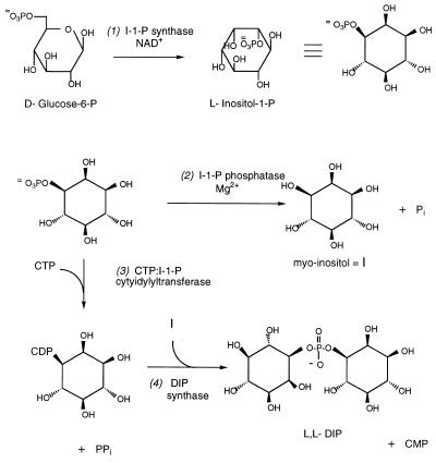 FIG. 1