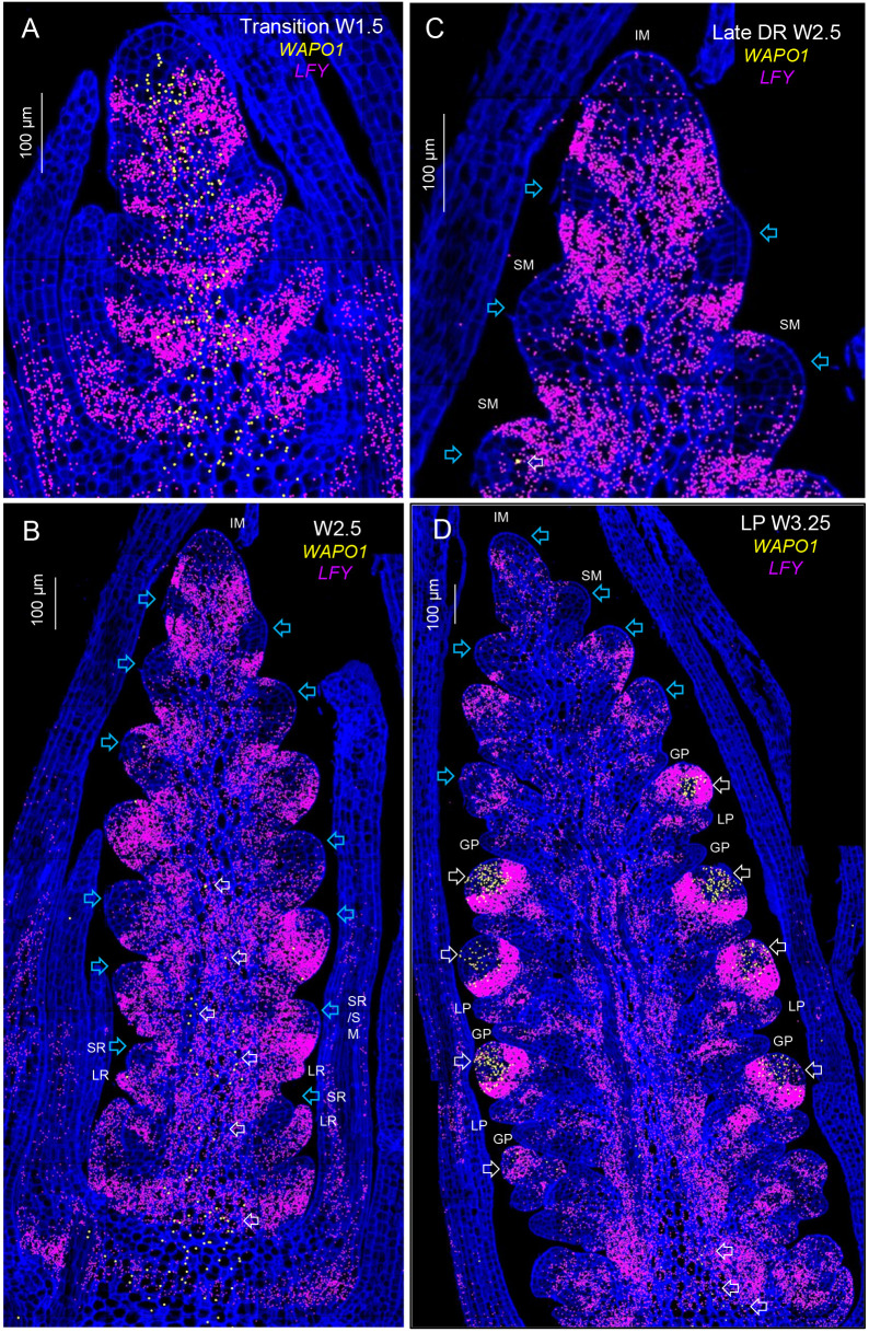 Fig. 4.