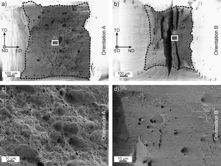 Fig. 8