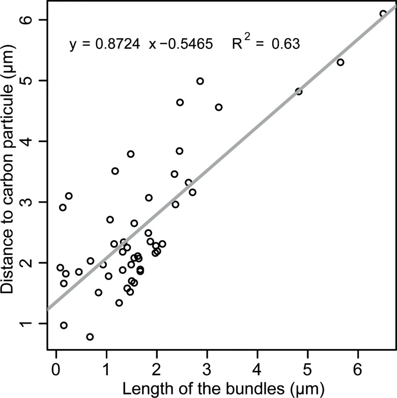 Fig 5