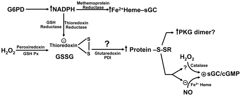 Fig.1