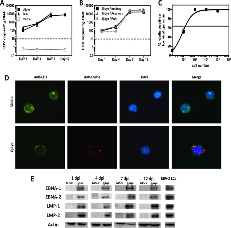 FIG 2