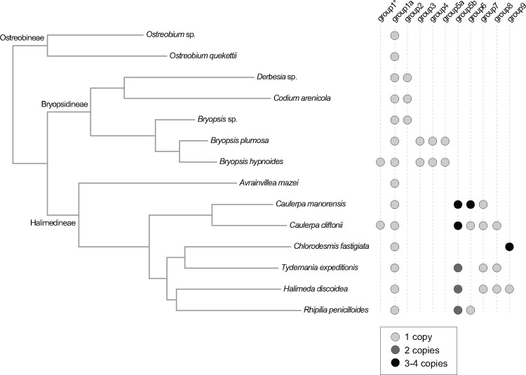 Fig. 4.