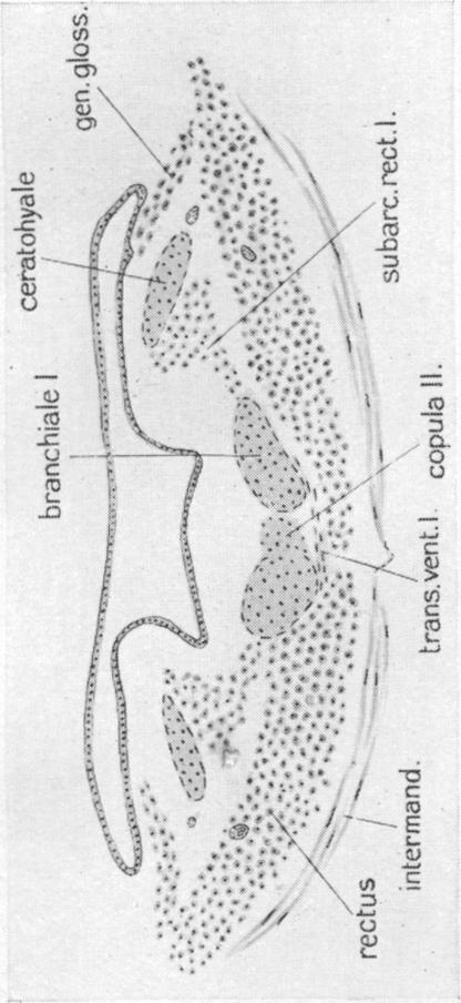 Fig. 26