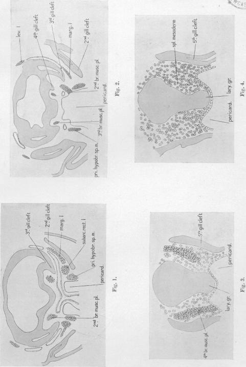 Figs. 1-5 (cont.)