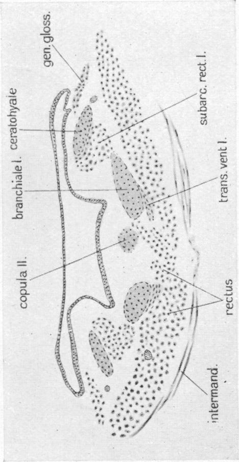 Fig. 27