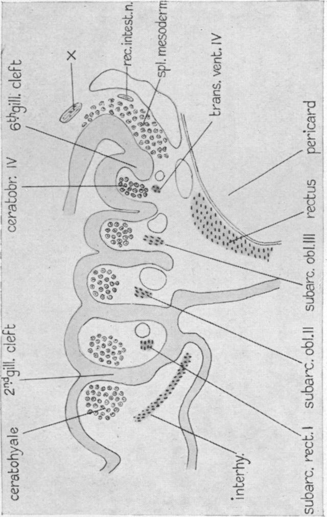 Fig. 39