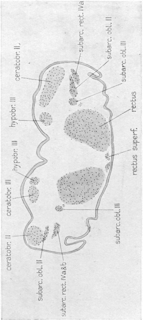 Fig. 54