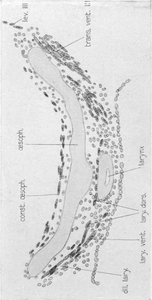 Fig. 69