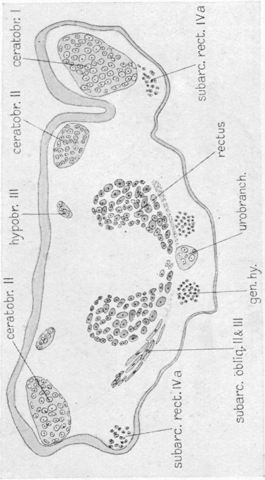 Fig. 76