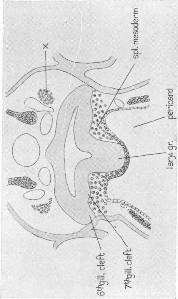 Fig. 37