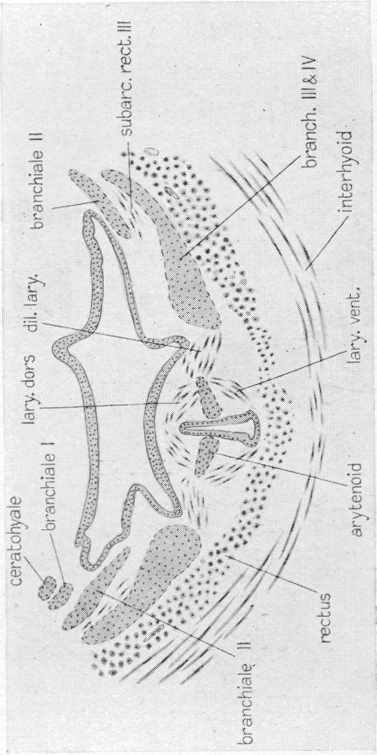 Fig. 29