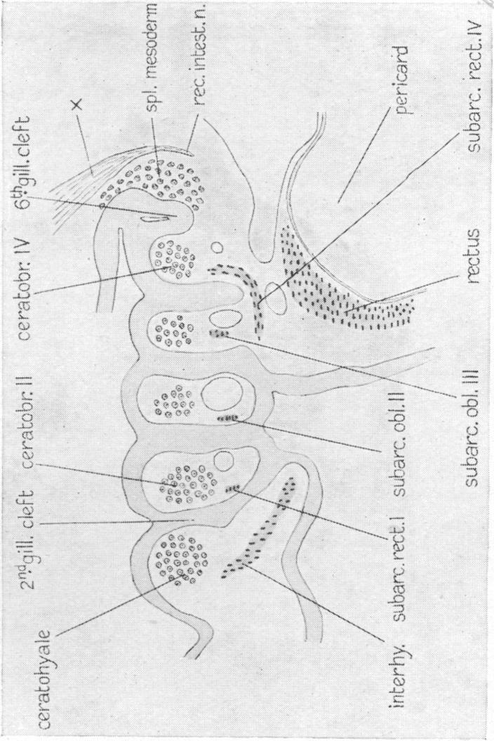 Fig. 38