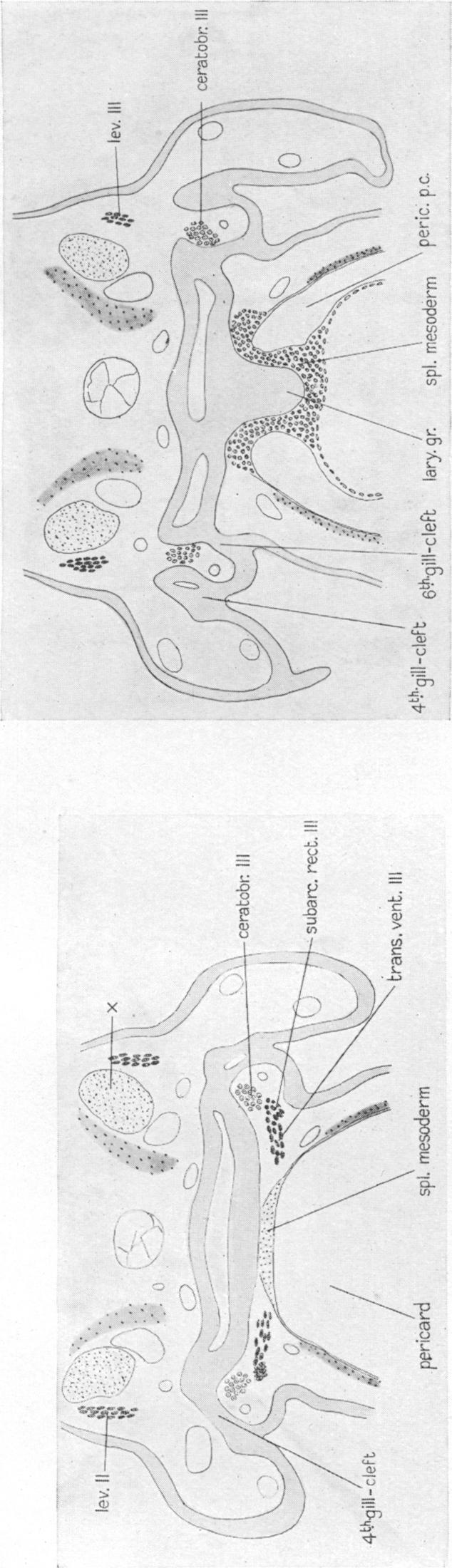 Figs. 60-62