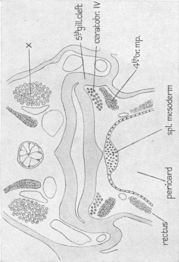 Fig. 36