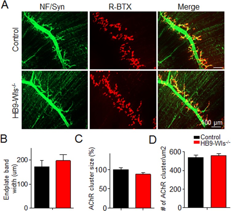 Figure 2—figure supplement 2.