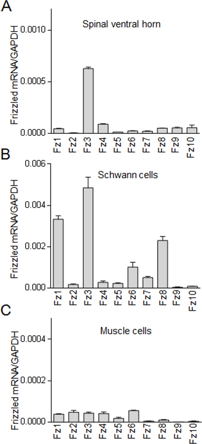 Figure 1—figure supplement 1.