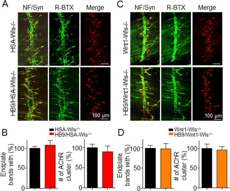 Figure 2—figure supplement 3.