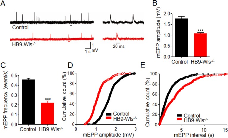 Figure 5—figure supplement 1.