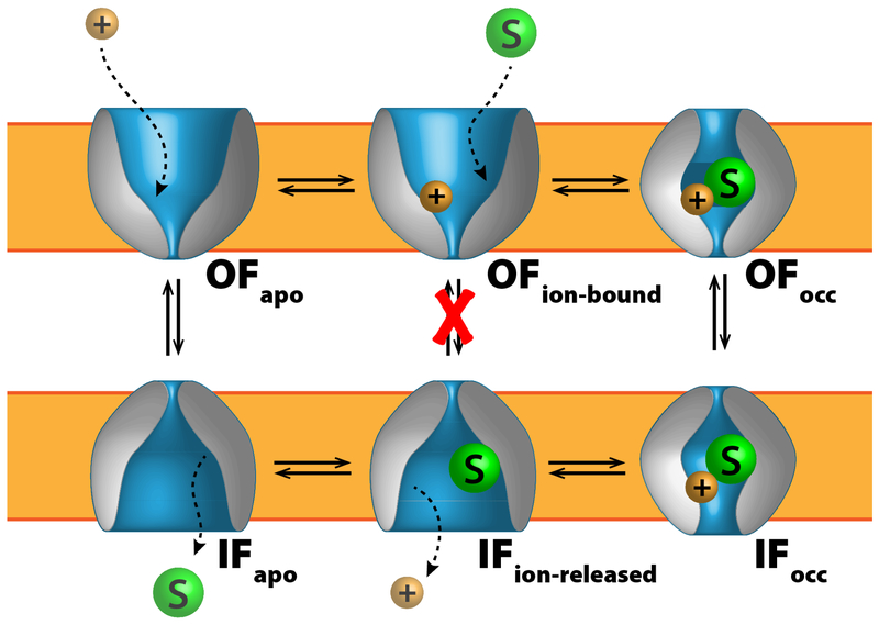 Figure 1.