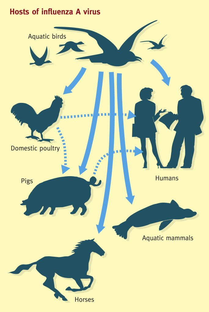 Figure 3